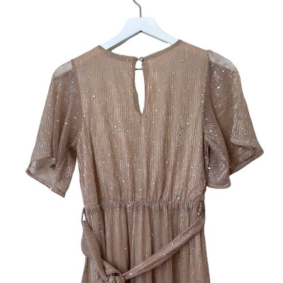 Baltic Born Champagne Abigail Sparkle Gown Maxi Dress Size XS - Picture 6 of 7